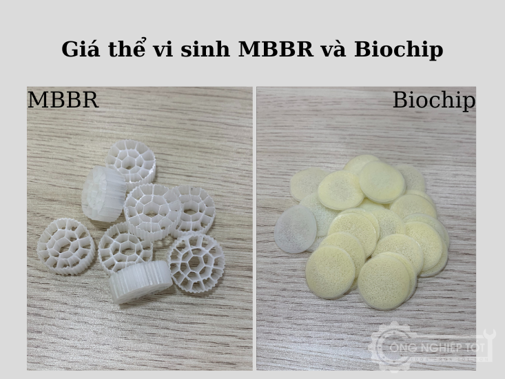 So sánh giá thể vi sinh Mbbr và giá thể vi sinh Biochip