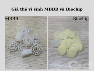 So sánh 2 loại giá thể vi sinh MBBR và Biochip
