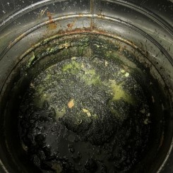 Giải pháp chống rêu và cặn bẩn trong bồn nước lâu năm