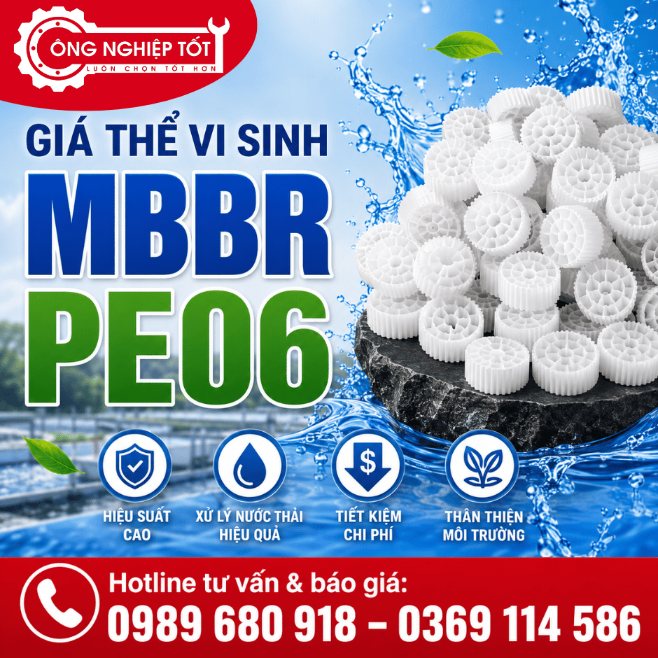 Giá thể vi sinh MBBR PE06