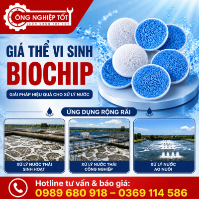 Giá thể vi sinh Biochip