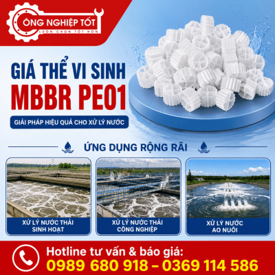 Giá thể vi sinh MBBR PE01
