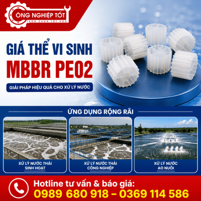 Giá thể vi sinh MBBR PE02