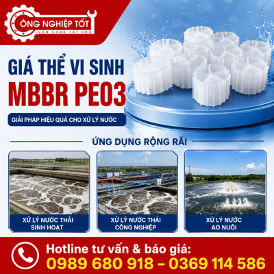 Giá thể vi sinh MBBR PE03