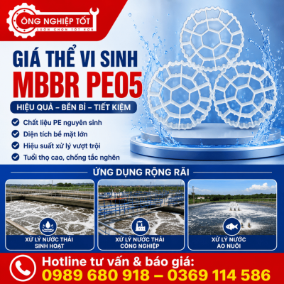 Giá thể vi sinh MBBR PE05