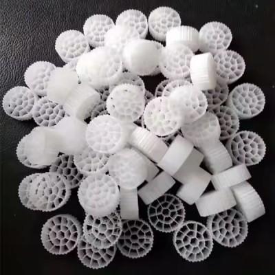 Giá thể vi sinh MBBR PE06