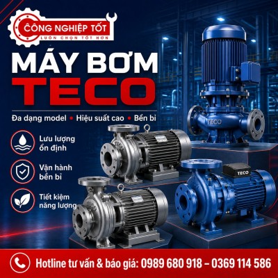 Máy bơm ly tâm đầu gang Teco