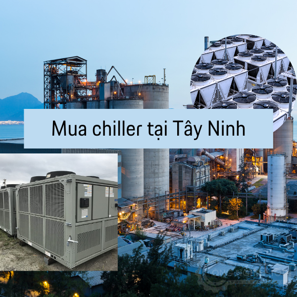 Mua chiller làm lạnh nước tại Tây Ninh