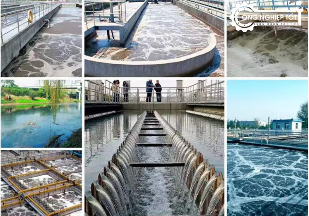 Các dự án lắp đặt giá thể vi sinh MBBR PE05