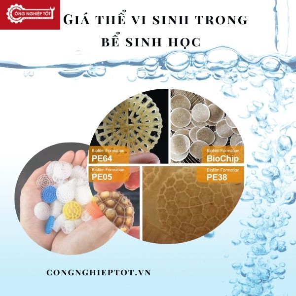 Giá thể vi sinh trong bể sinh học