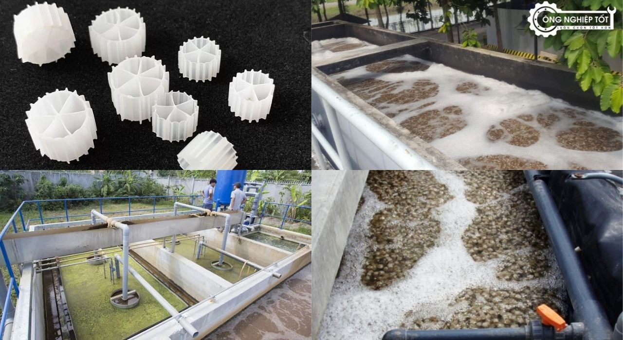 Ứng dụng của giá thể vi sinh MBBR PE04