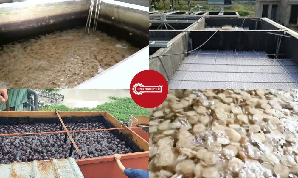 Ứng dụng thực tế của giá thể vi sinh trong bể sinh học