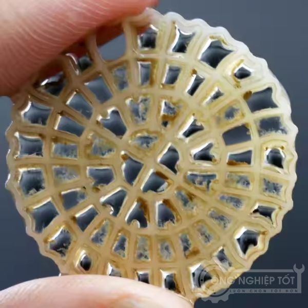 Giá thể vi sinh MBRR PE10