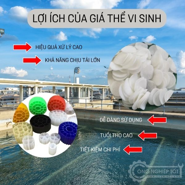 Lợi ích của giá thể vi sinh