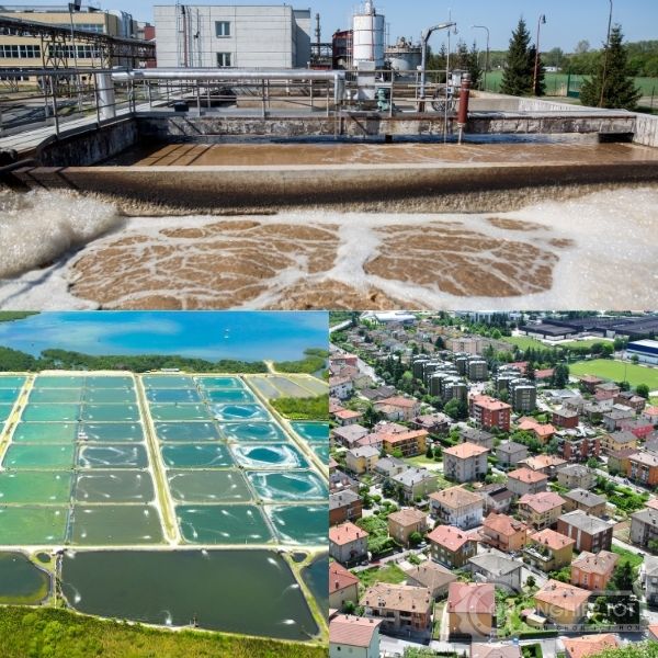 Ứng dụng của giá thể vi sinh hiện nay