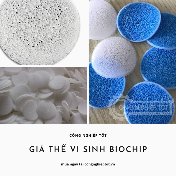 Giá thể sinh học Biochip