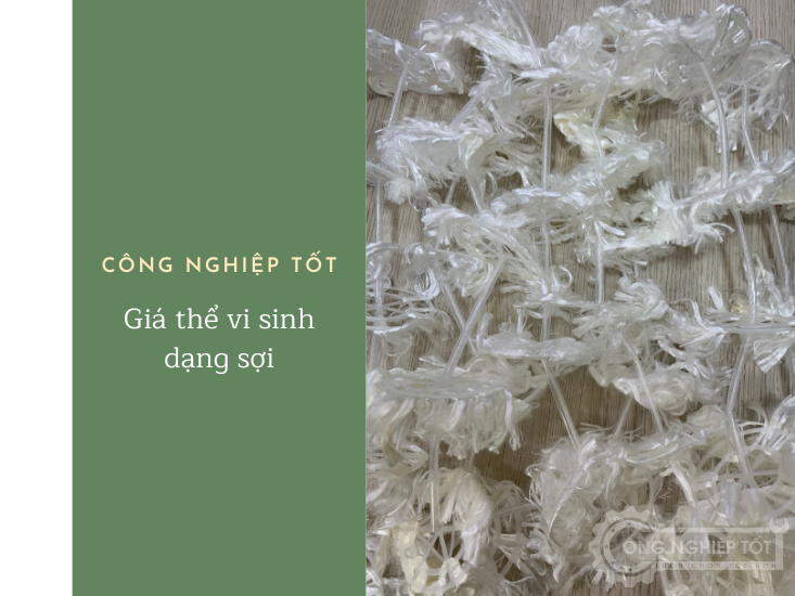 Đệm vi sinh dạng sợi
